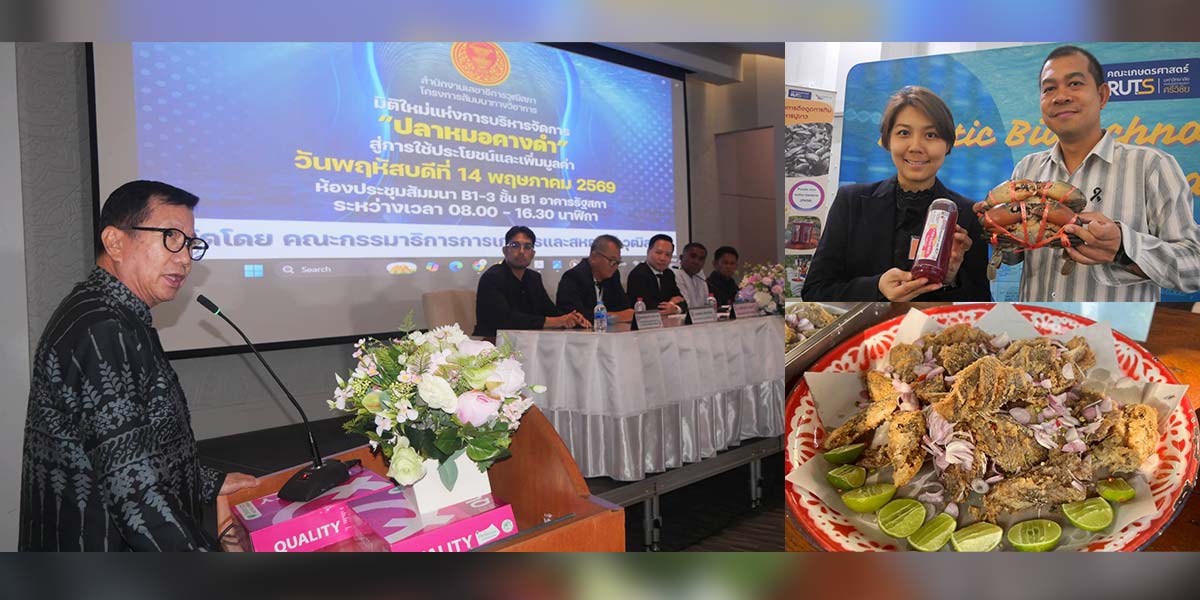 Thailand Senate Promotes Value-Added Processing to Help Community Manage Blackchin Tilapia
